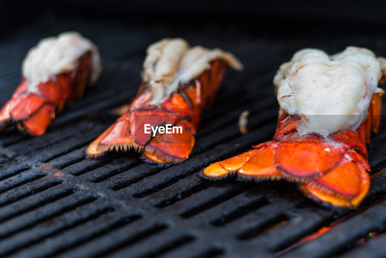 Close-up of lobsters