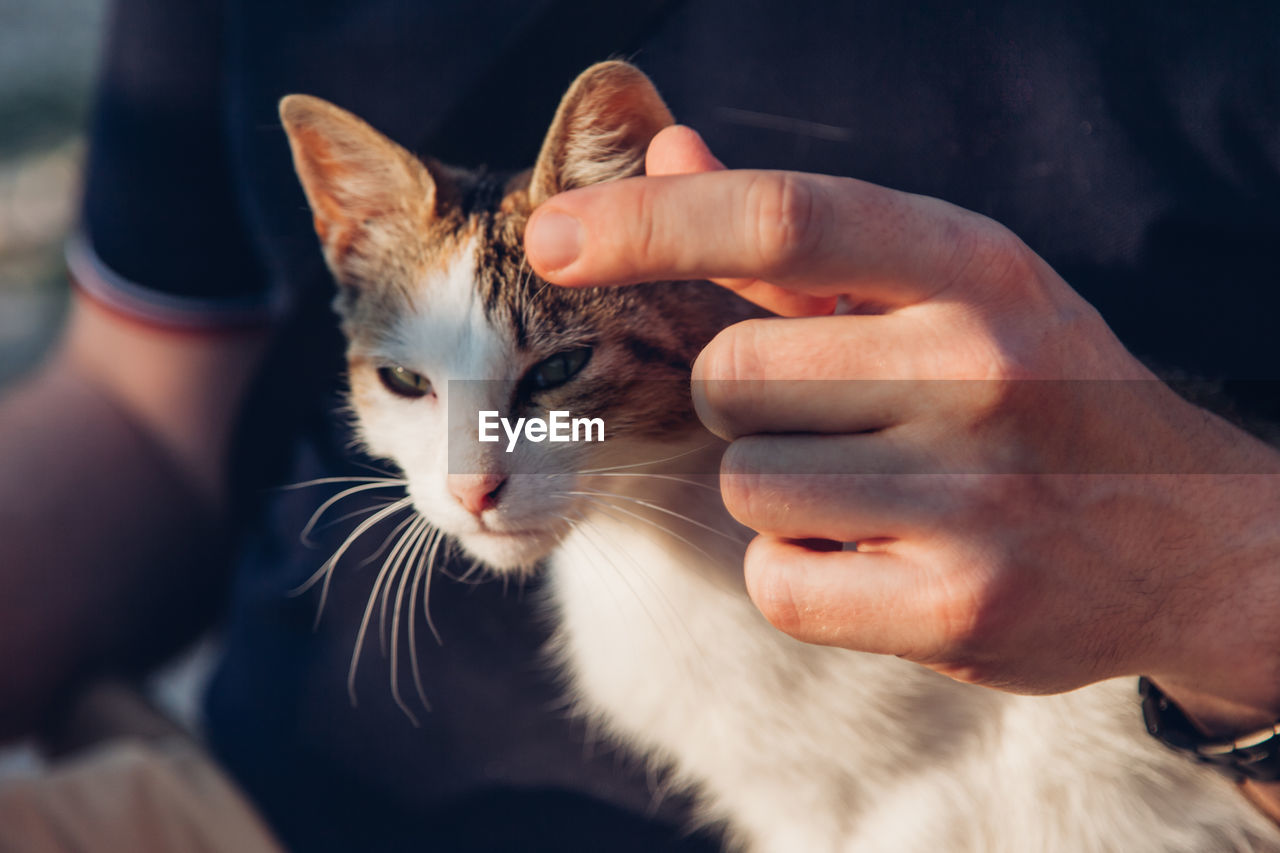 Close-up of man with cat