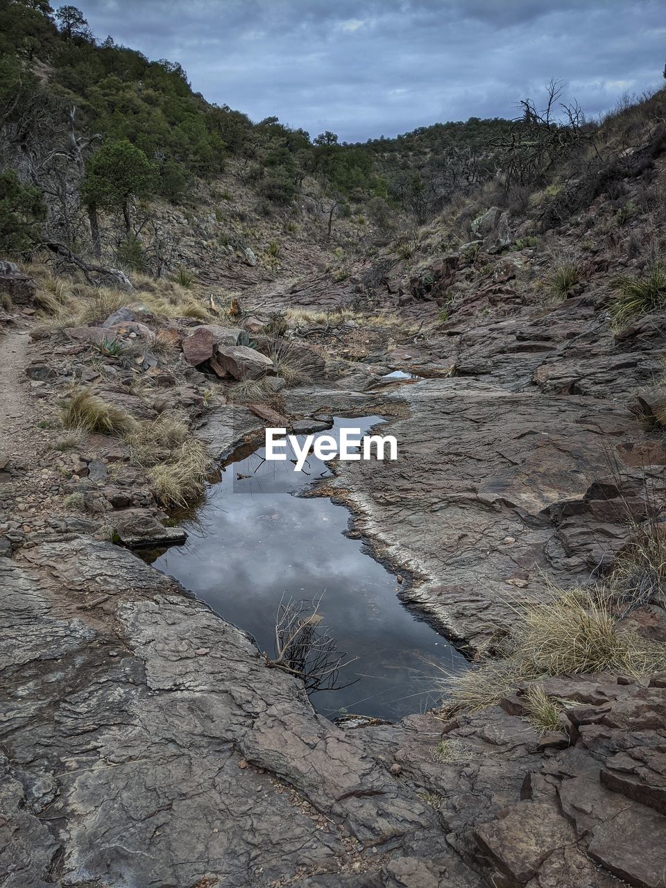 High angle view of water flowing through rocks