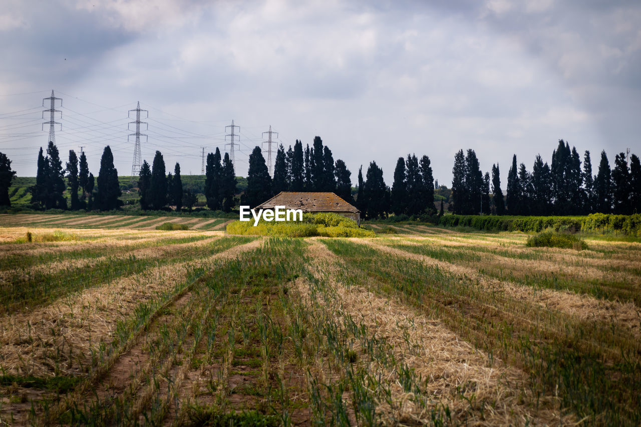 PANORAMIC SHOT OF LAND AGAINST SKY