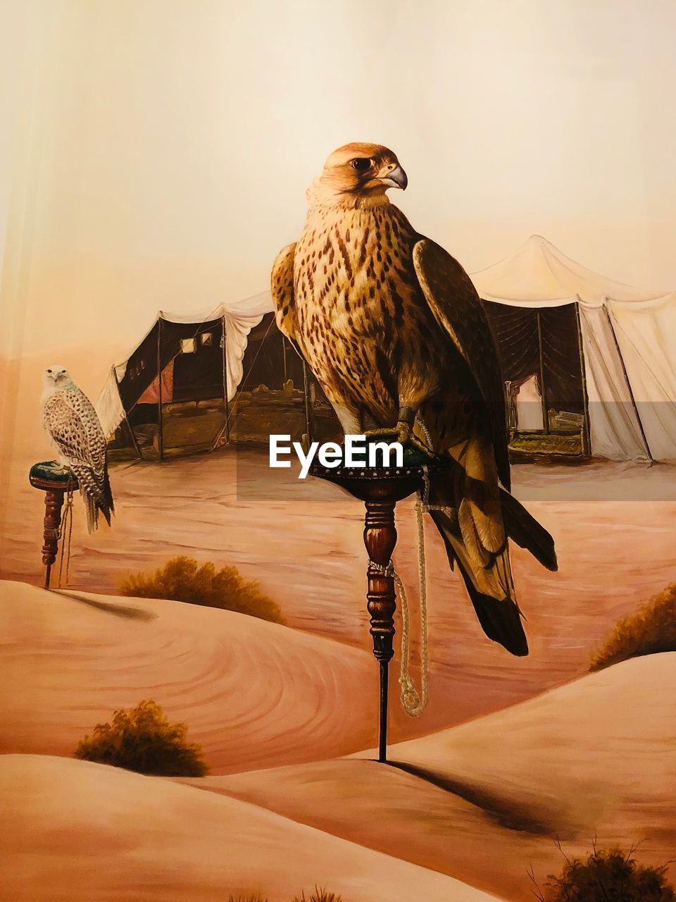 Painting of eagles in desert