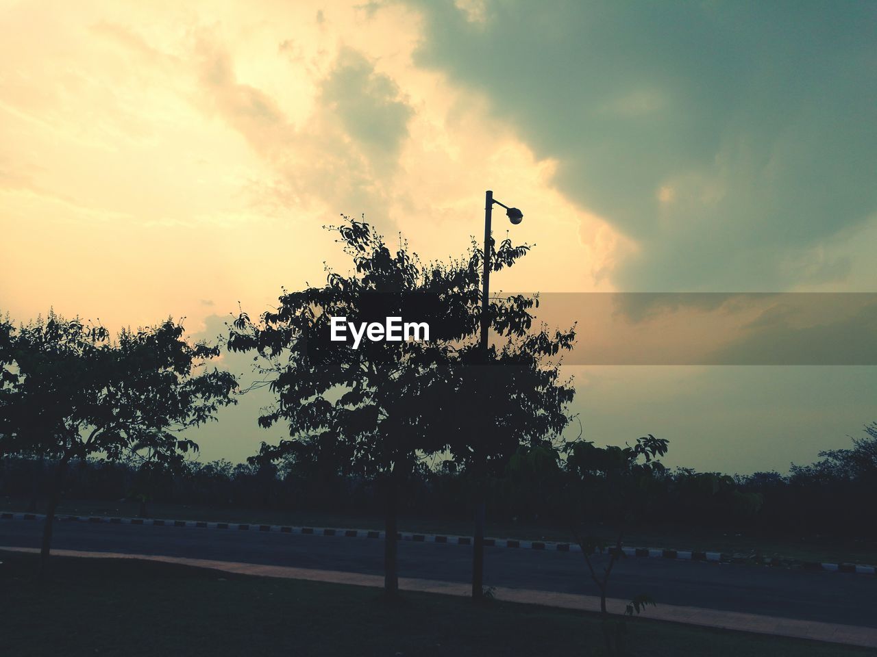 TREES AGAINST CLOUDY SKY AT SUNSET