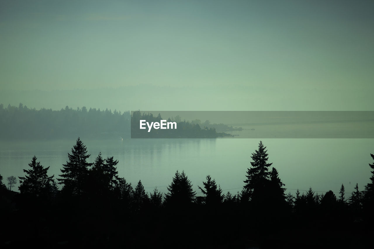 Scenic view of lake in forest against sky