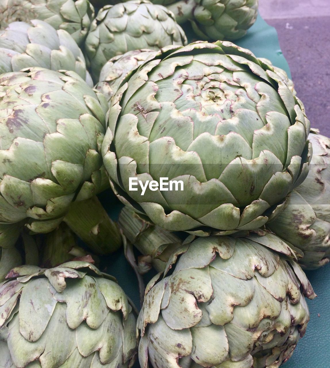 Close up of artichokes for sale on market 