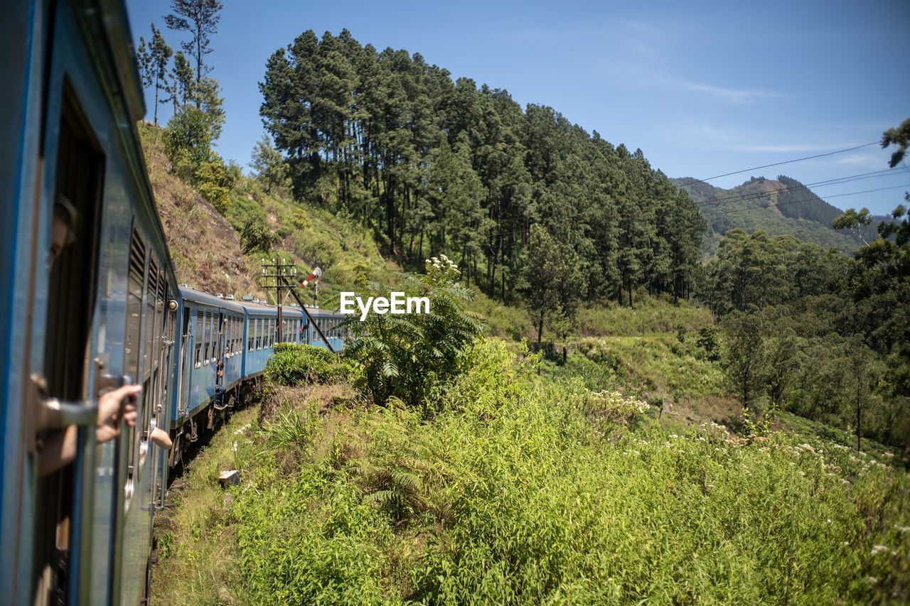 VIEW OF TRAIN PASSING THROUGH LANDSCAPE