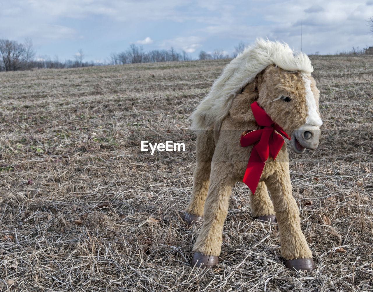 Horse toy with christmas decoration on field against sky