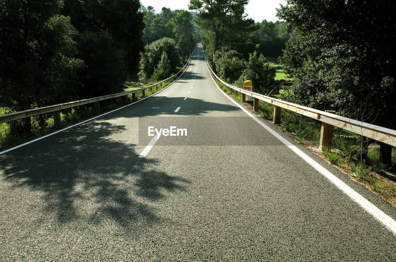 ROAD AMIDST TREES AND RAILING