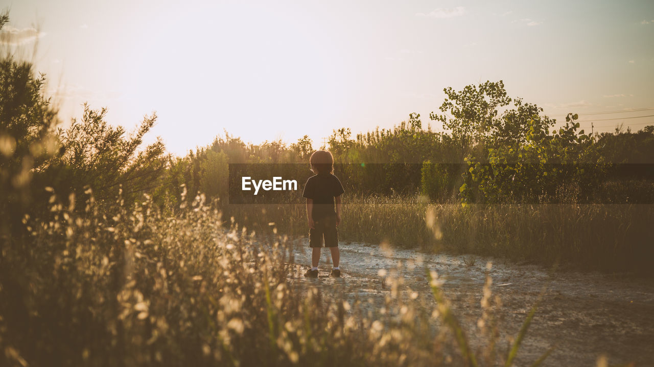 Rear view of boy standing on land against sky during sunset