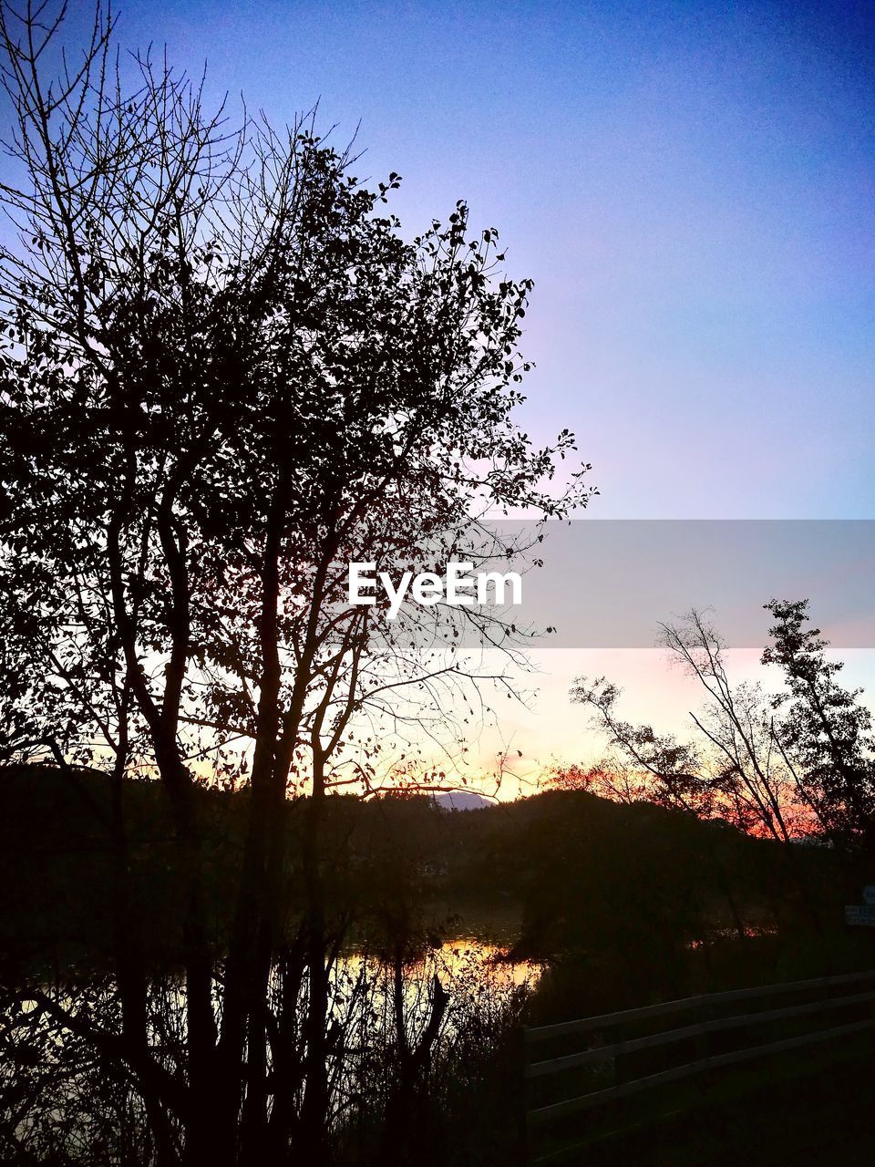 LOW ANGLE VIEW OF SILHOUETTE TREES AGAINST SKY