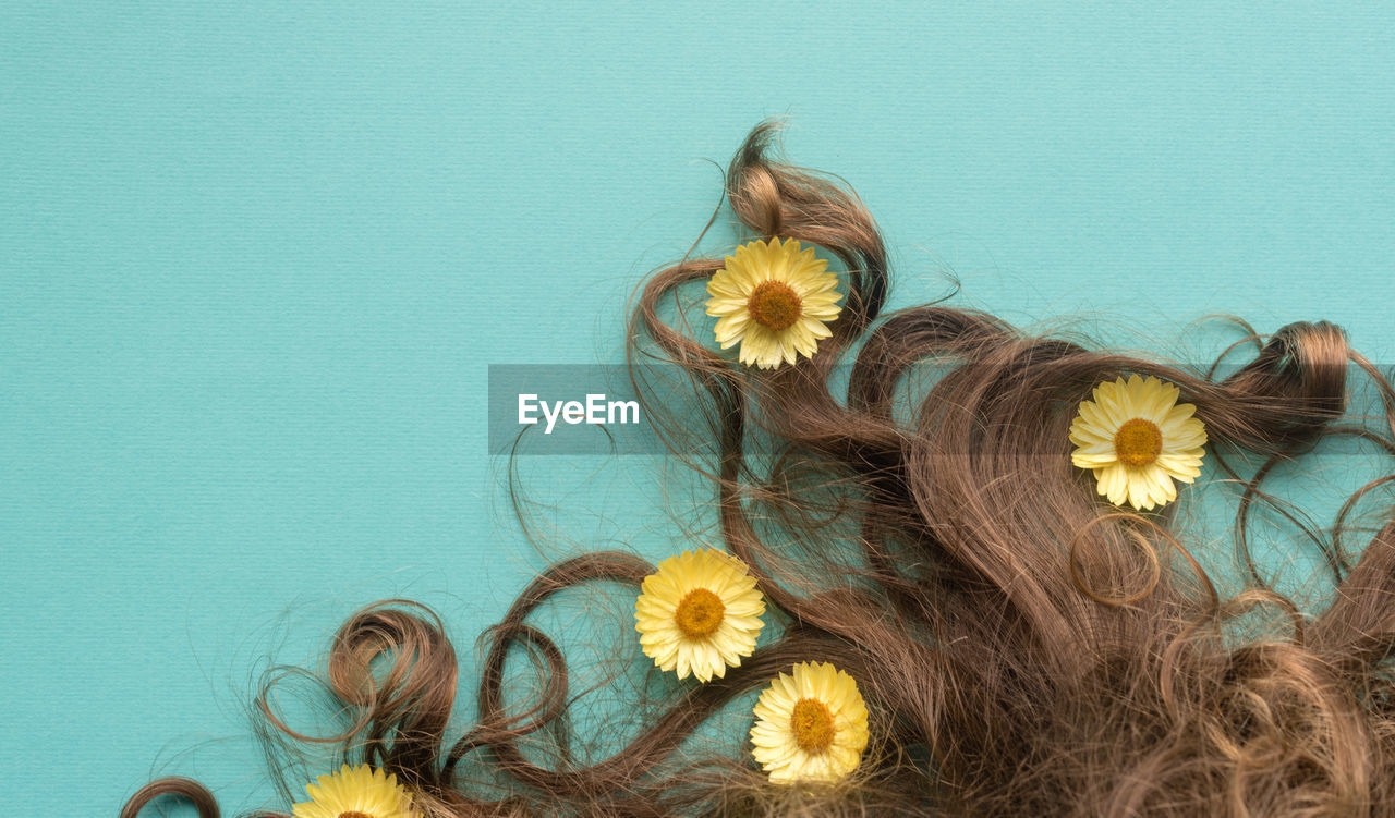 Close-up of flowers with brown hair