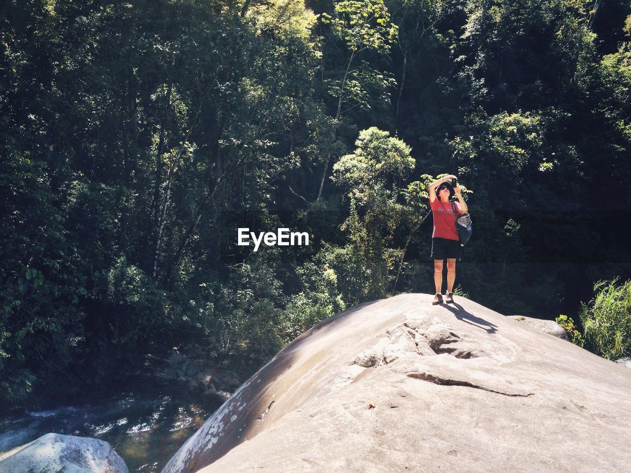 Full length of woman photographing in forest