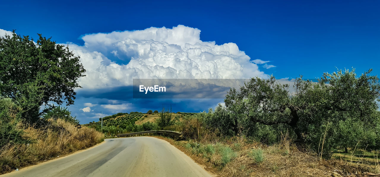 sky, road, plant, nature, cloud, tree, landscape, transportation, environment, the way forward, scenics - nature, mountain, blue, beauty in nature, mountain range, no people, natural environment, land, travel, non-urban scene, diminishing perspective, rural area, day, travel destinations, tranquility, tranquil scene, outdoors, vanishing point, country road, remote, wilderness, sunlight, tourism, rural scene