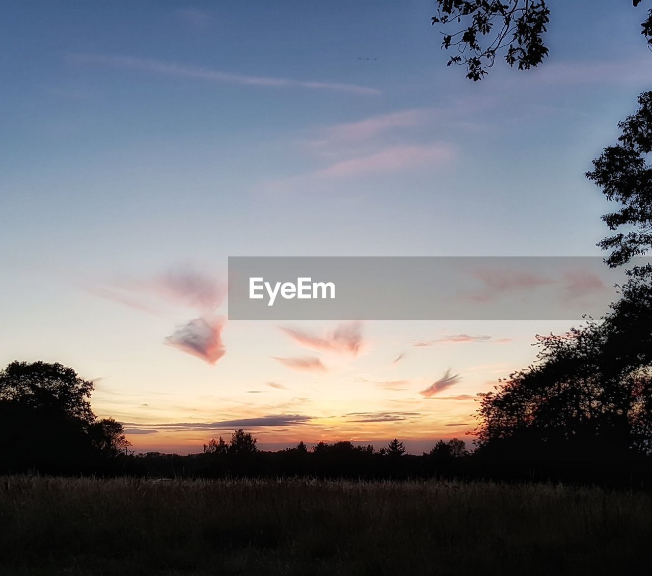 SCENIC VIEW OF SUNSET OVER FIELD