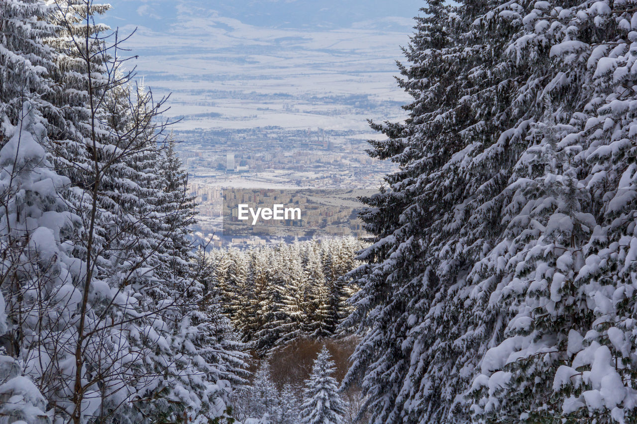 View of the city of sofia from the mountain vitosha.