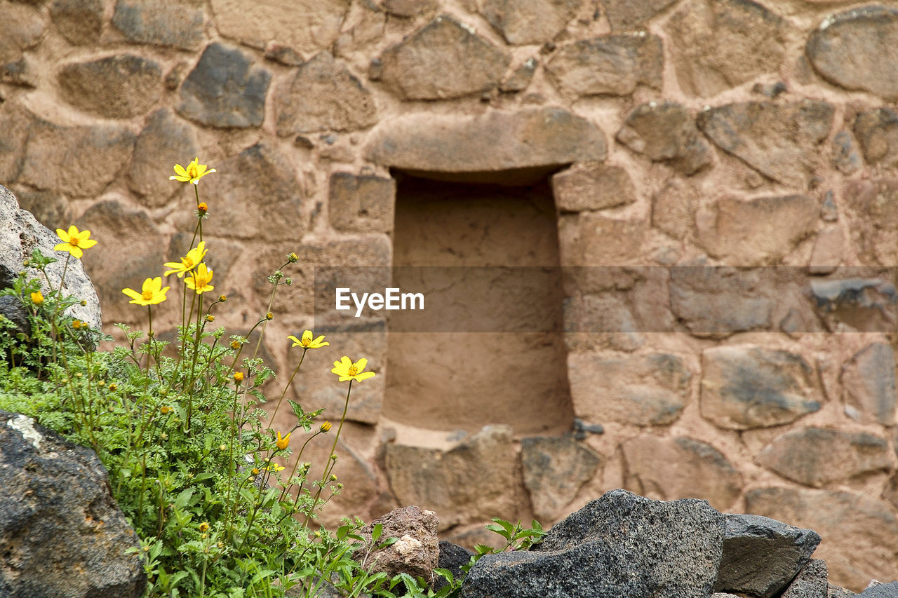 OLD STONE WALL BY BUILDING