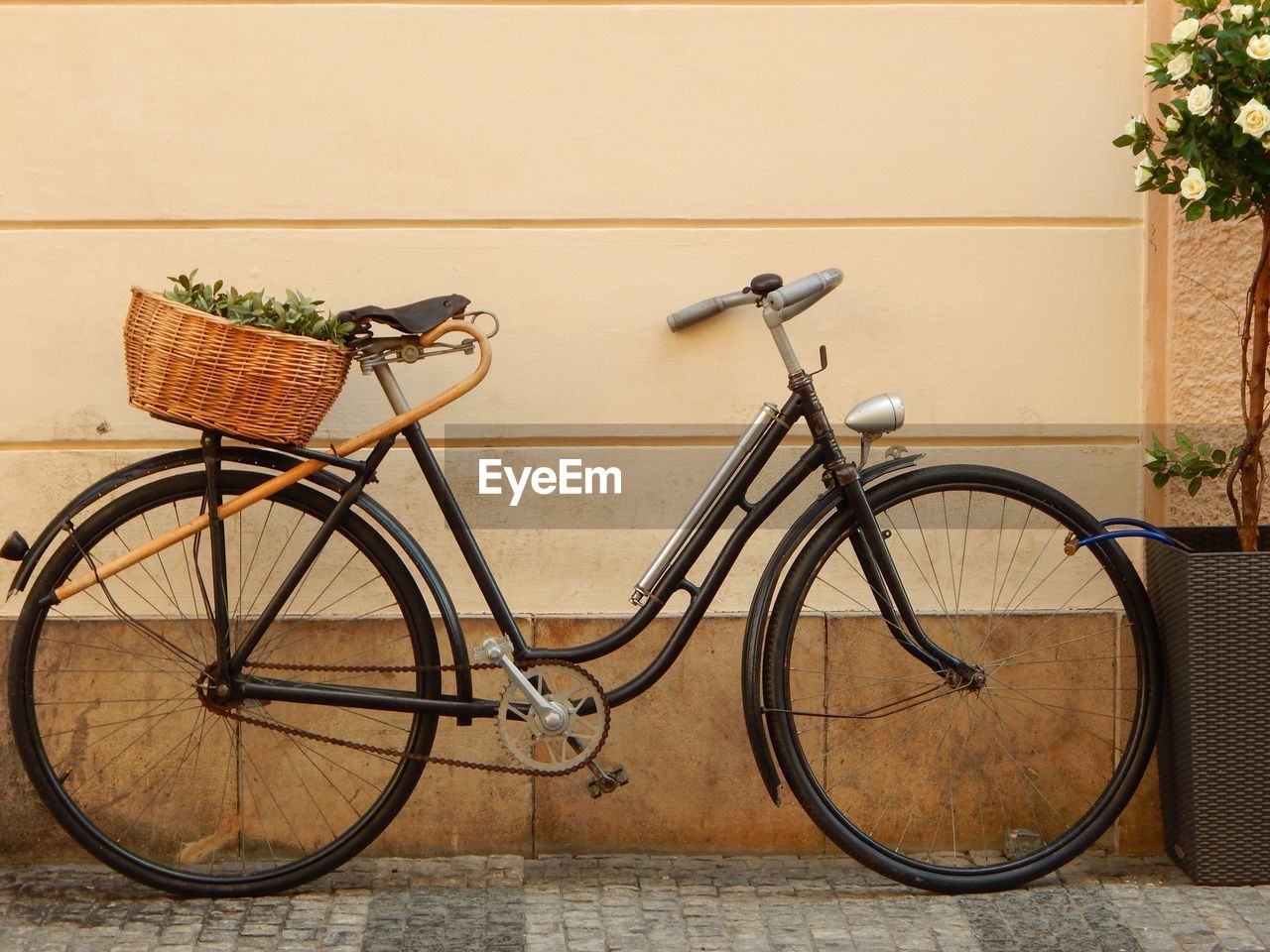 BICYCLES IN BASKET