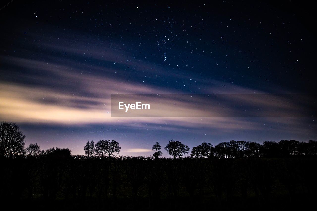 SCENIC VIEW OF SILHOUETTE TREES AGAINST STAR FIELD