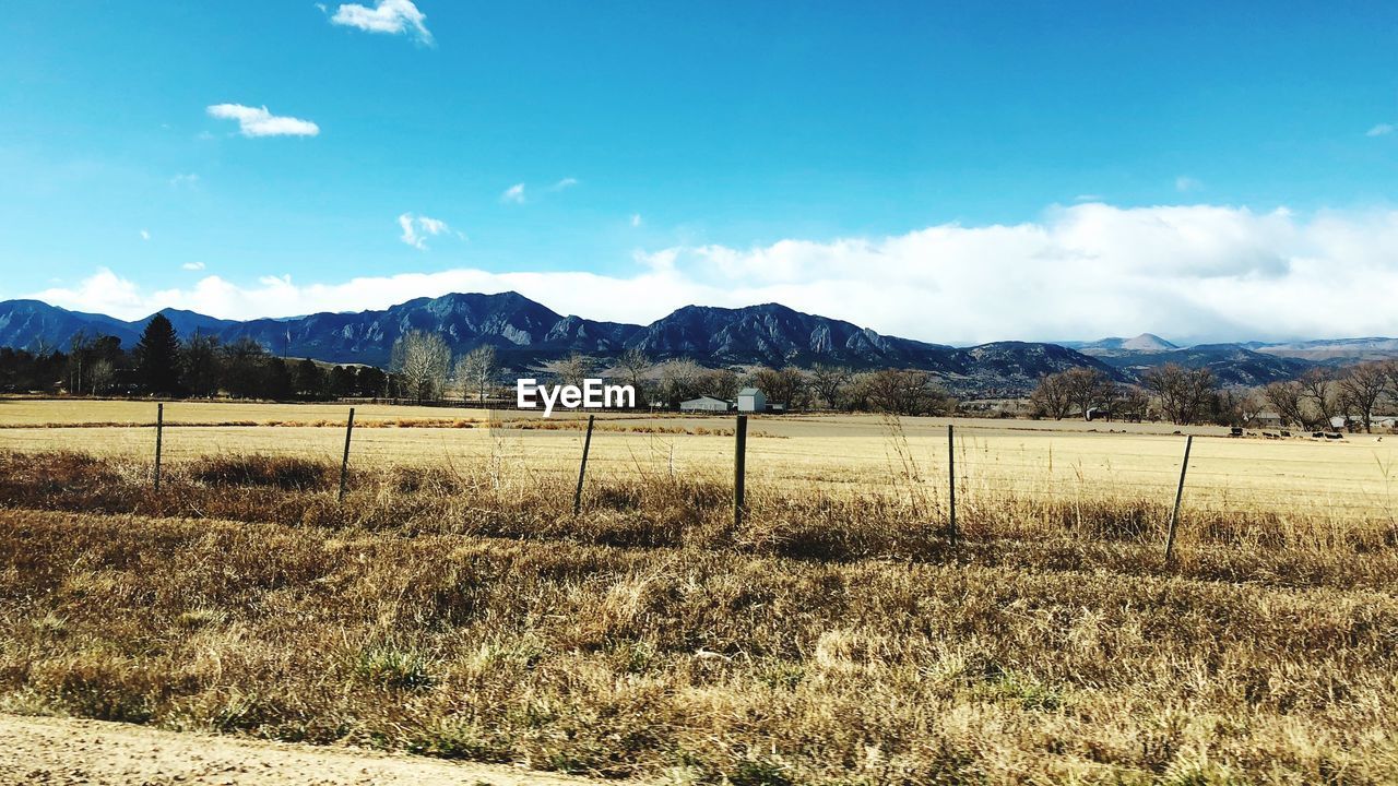 Scenic view of field against sky