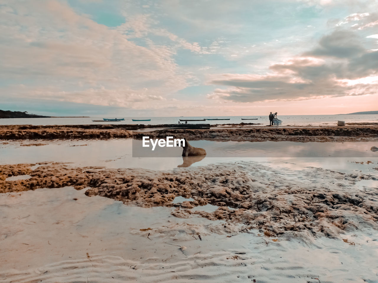 SCENIC VIEW OF BEACH DURING SUNSET