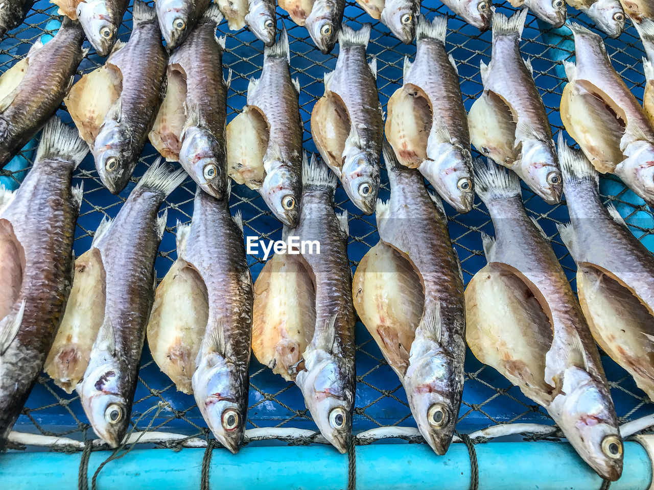 High angle view of dried fish for sale in market