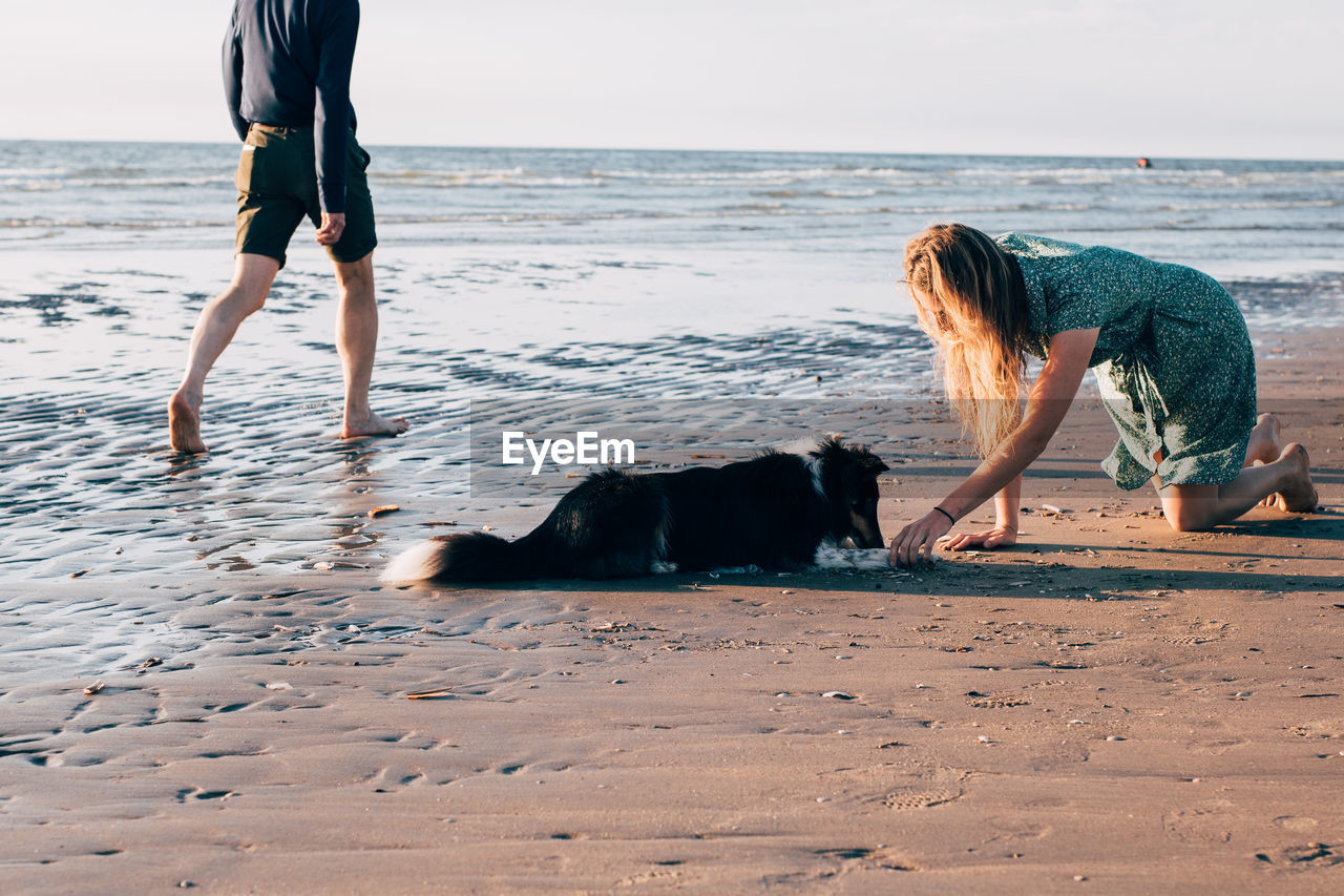 Full length of young woman feeding dog with unknown person on beach
