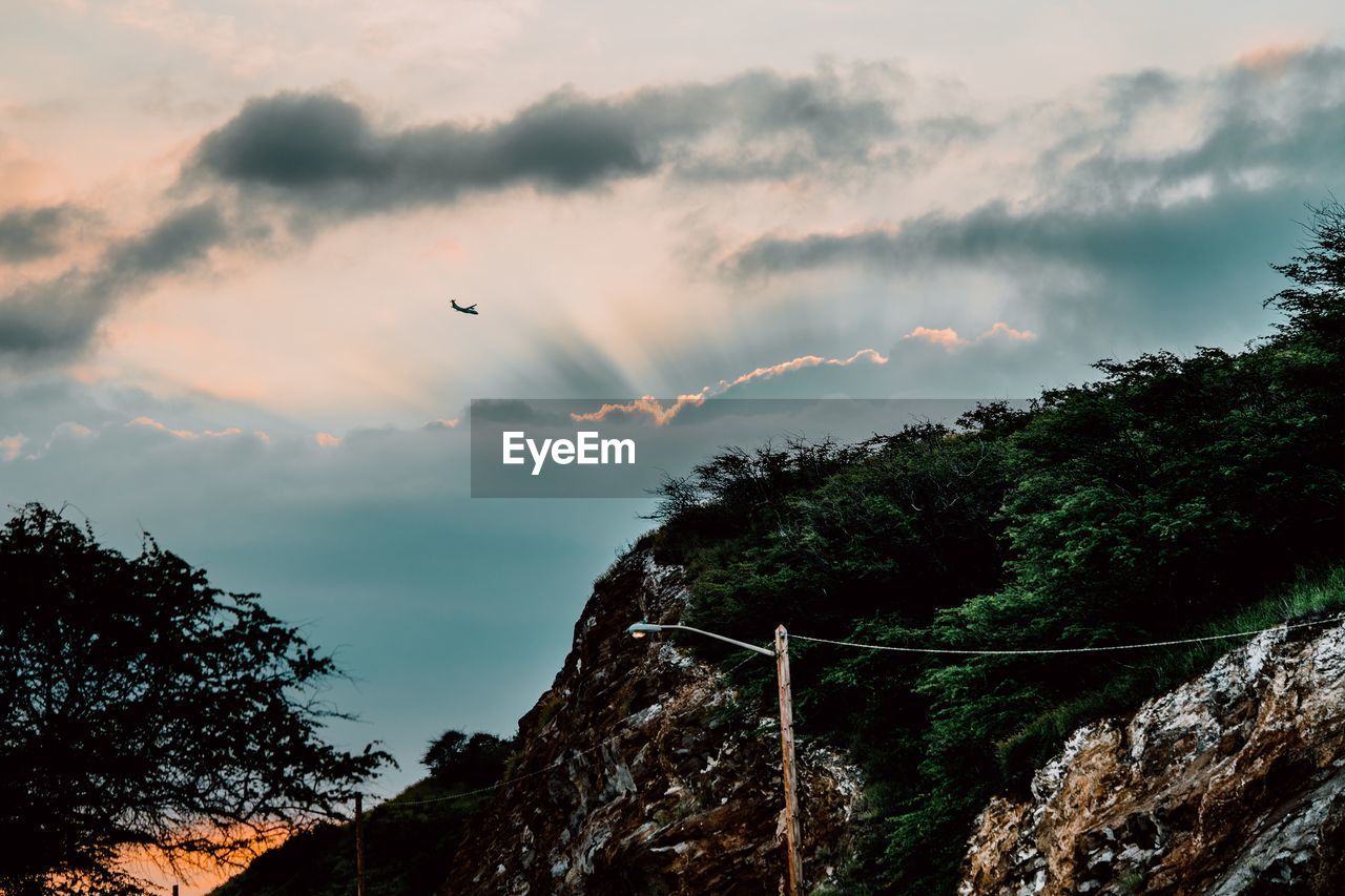 LOW ANGLE VIEW OF BIRD FLYING AGAINST SKY