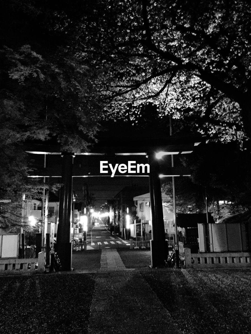 Empty road amidst trees in city