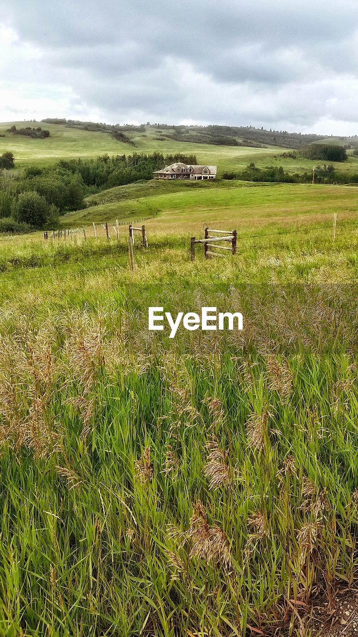 Scenic view of green landscape against sky