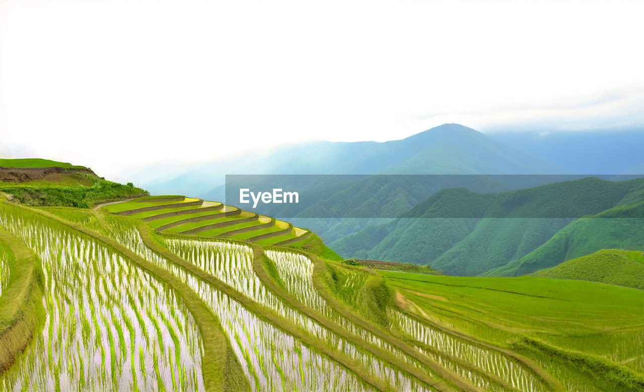 Rice fields on terraced in rainny season
