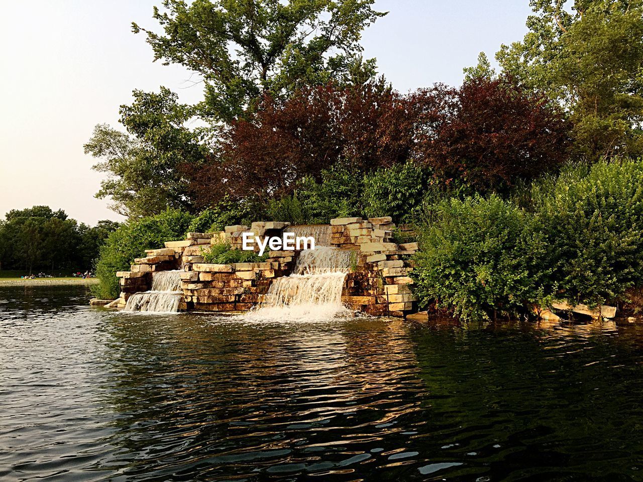 SCENIC VIEW OF RIVER IN FOREST