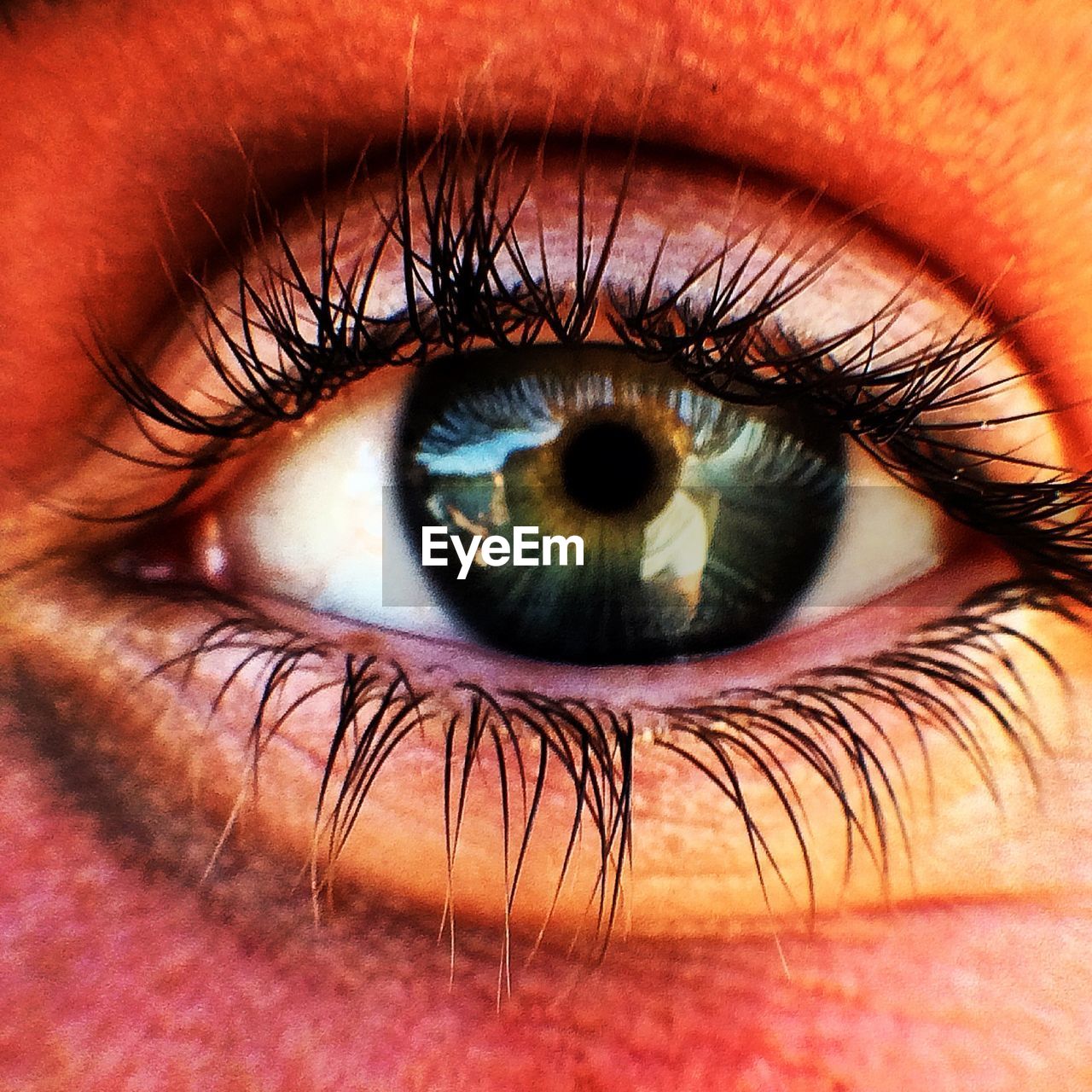 Close-up of human eye