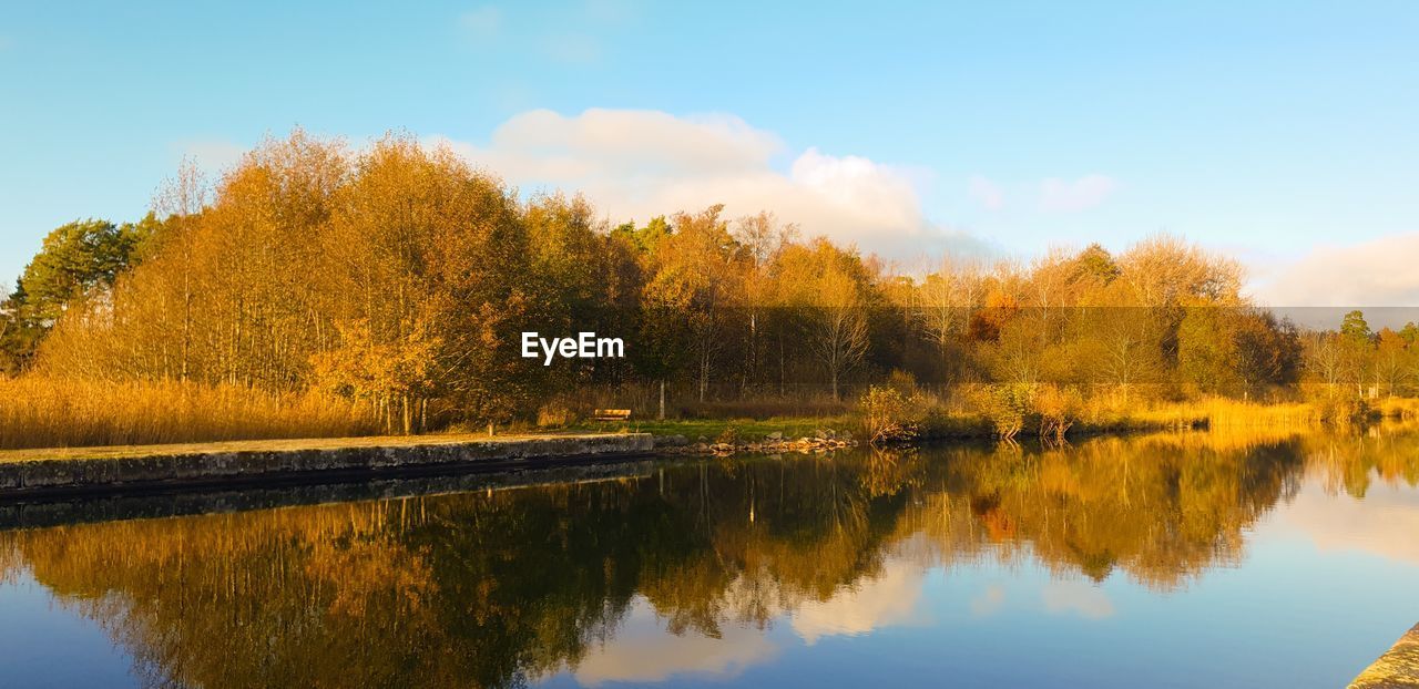 Scenic view of lake by trees against sky during autumn