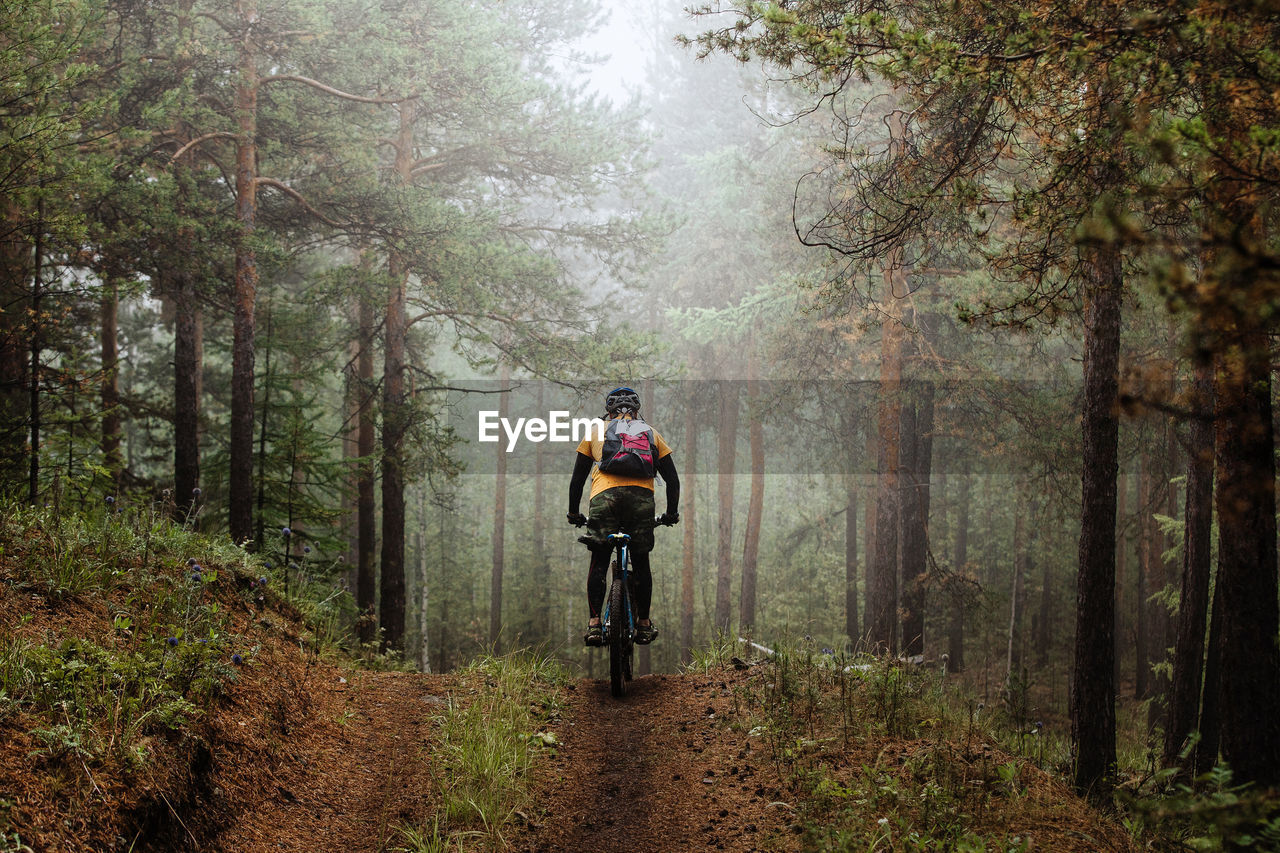 Rear view of man cycling in forest