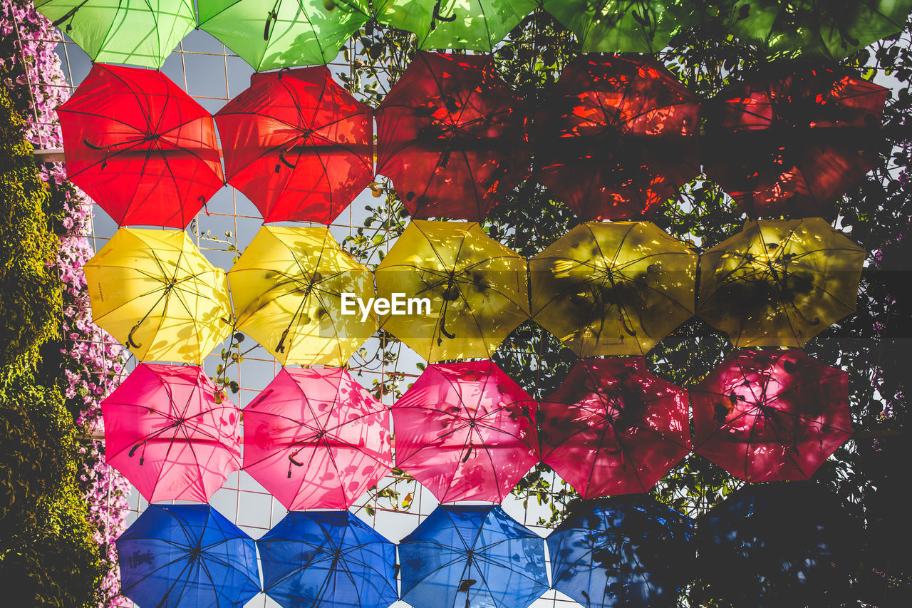 Low angle view if multi colored umbrellas hanging