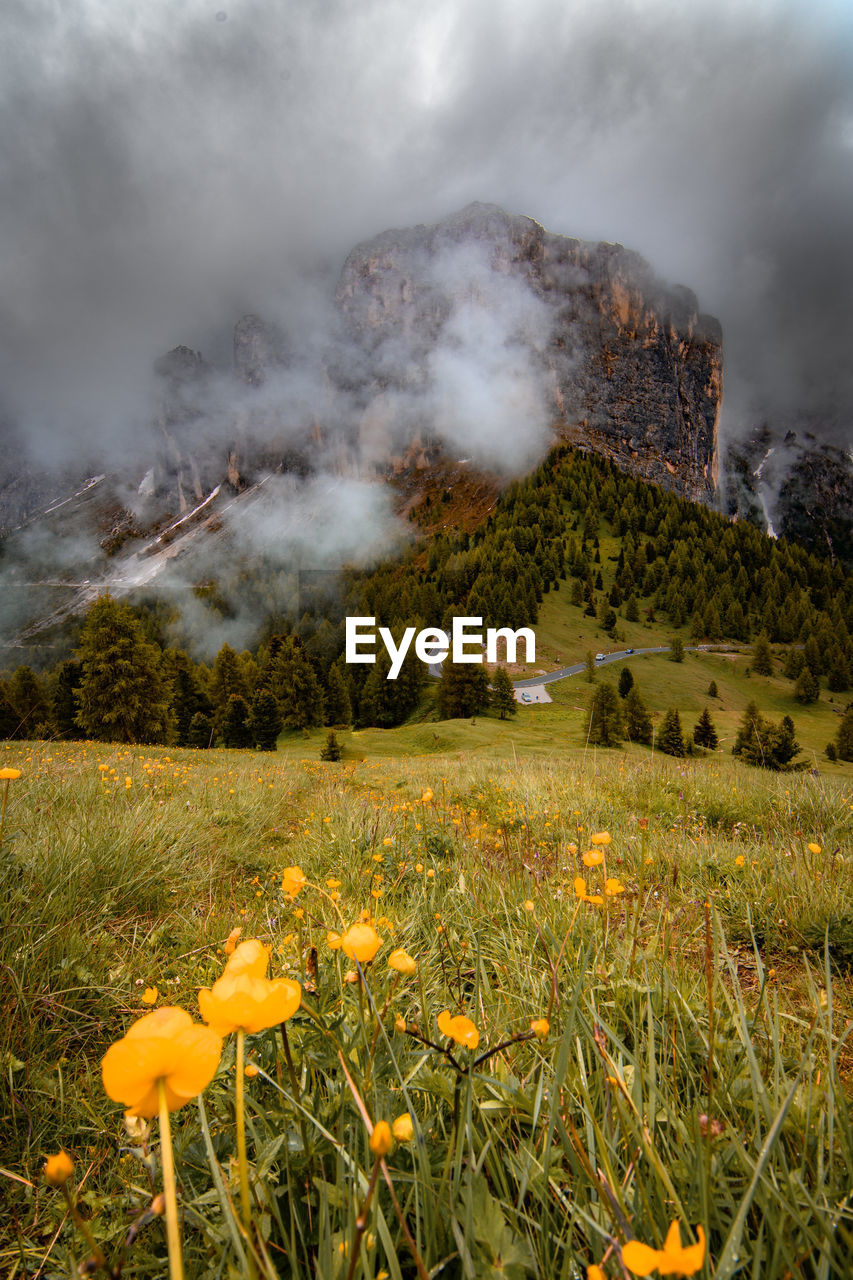 Clouds in the dolomites