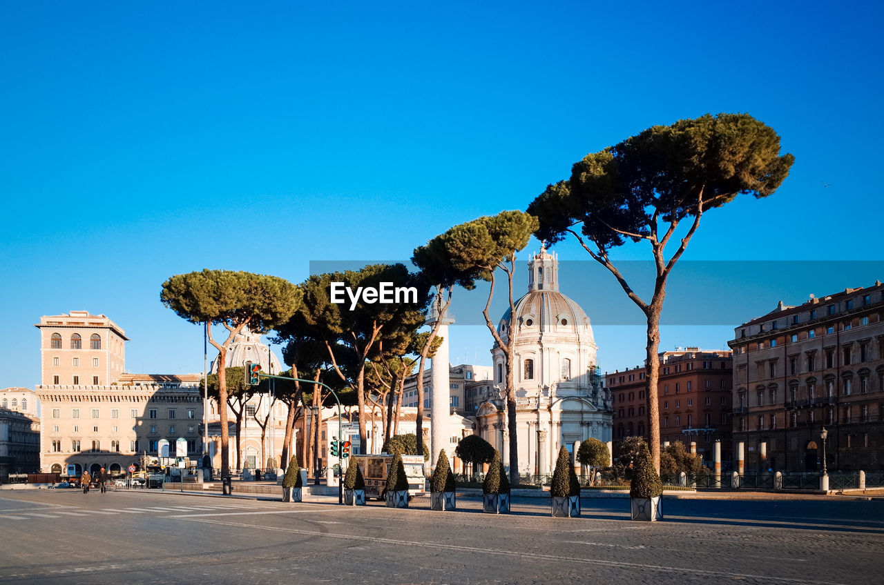 Trees on street in city against clear blue sky