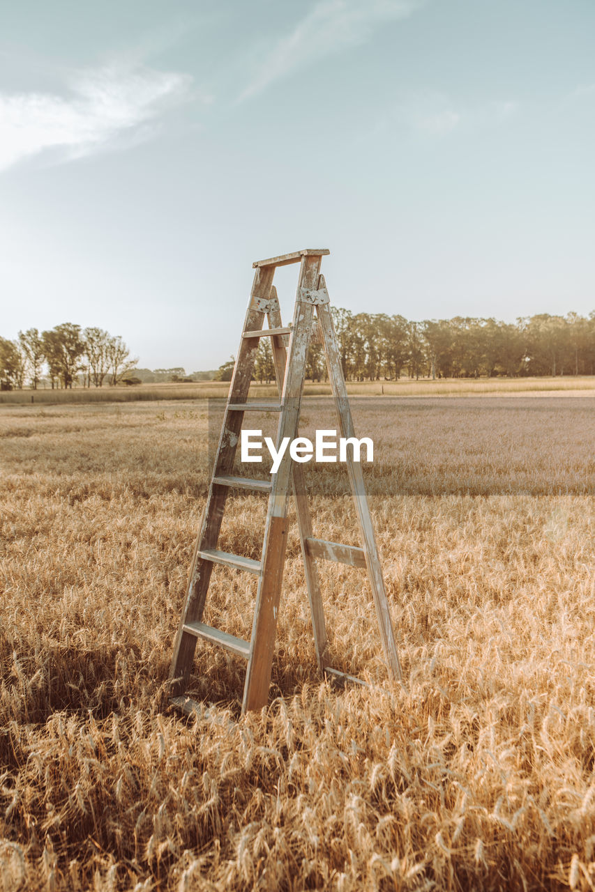 Ladder by plants in field against sky