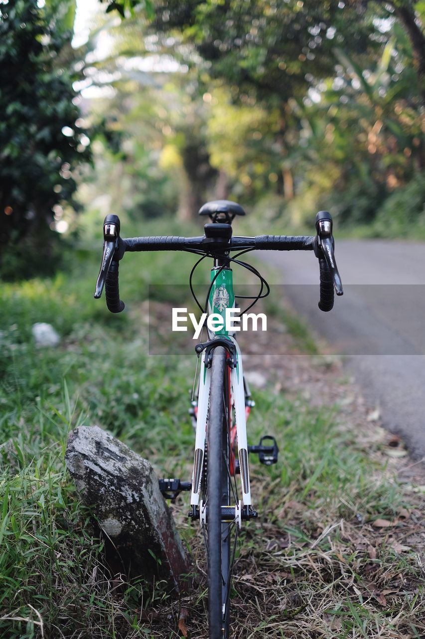 BICYCLE PARKED ON FIELD BY TREES