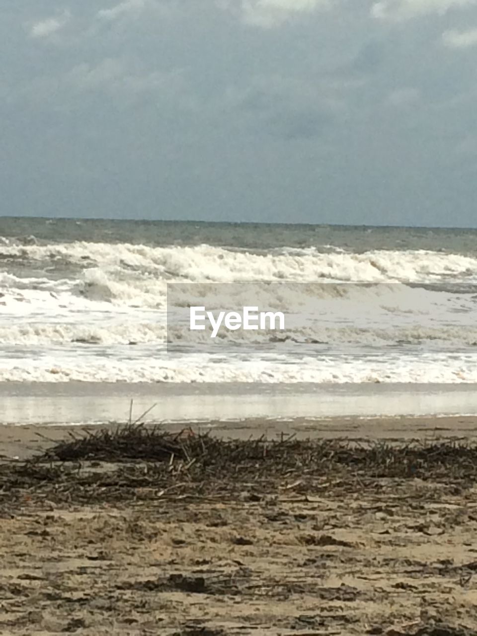 SCENIC VIEW OF BEACH