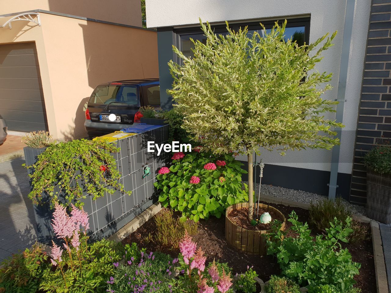 POTTED PLANTS IN YARD OF HOUSE