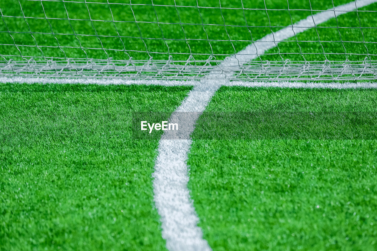 PLANTS GROWING ON FIELD BY SOCCER BALL