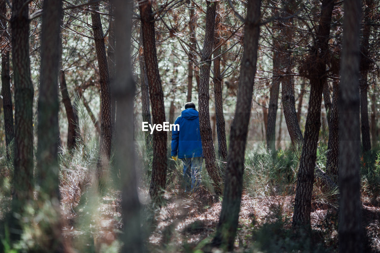 Rear view of man walking in forest