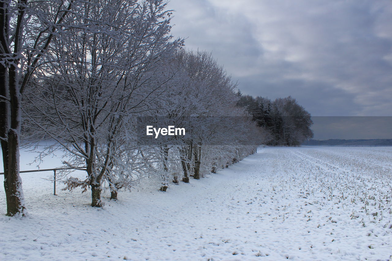 Trees on snow covered field against sky