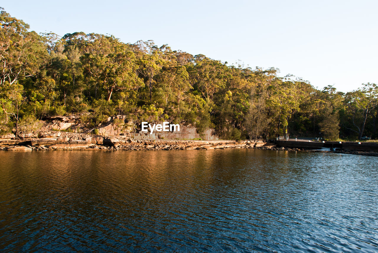 SCENIC VIEW OF LAKE AGAINST TREES