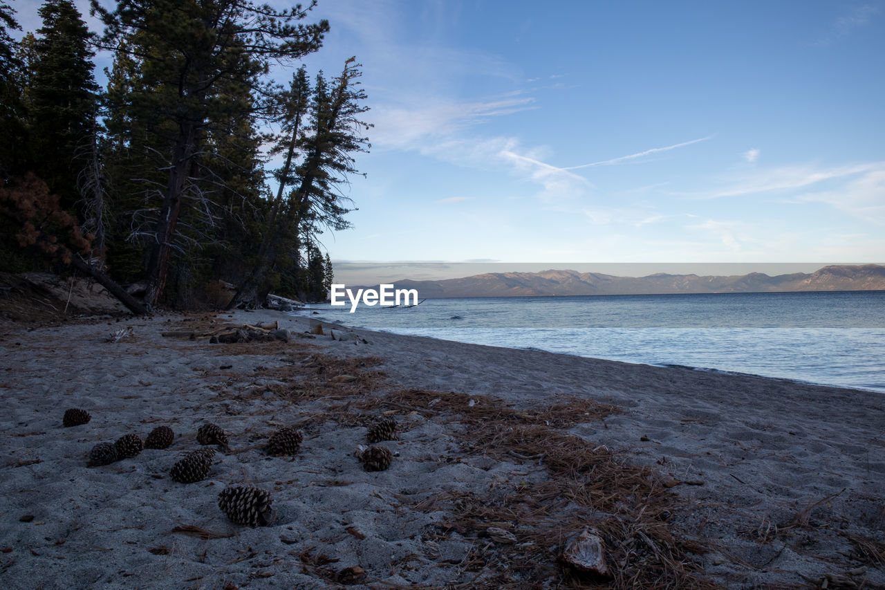 Scenic view of sea against sky during winter