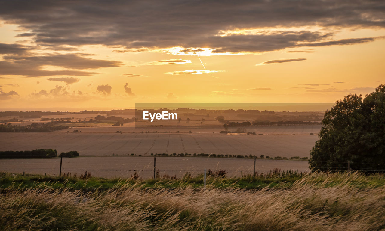 Scenic view of field against sky during sunset