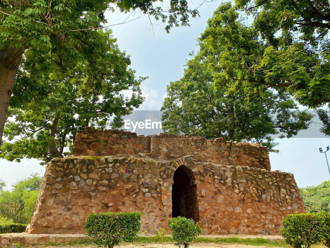 architecture, tree, plant, history, the past, built structure, ancient, nature, ruins, building, old ruin, building exterior, travel destinations, no people, travel, archaeological site, old, day, sky, outdoors, wall, tourism, rural area, ancient history, religion, stone material, ancient civilization, green, growth, temple - building