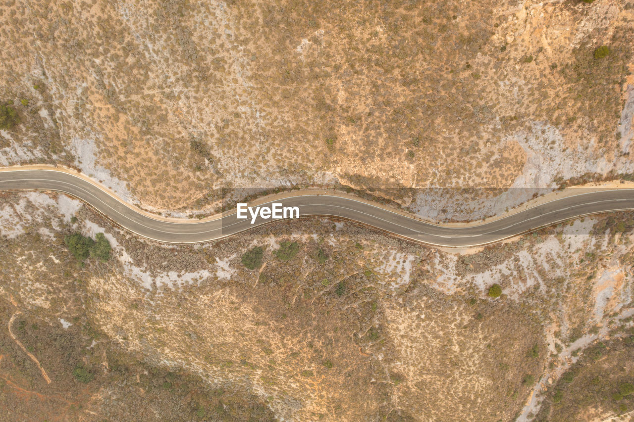 high angle view of snake on field