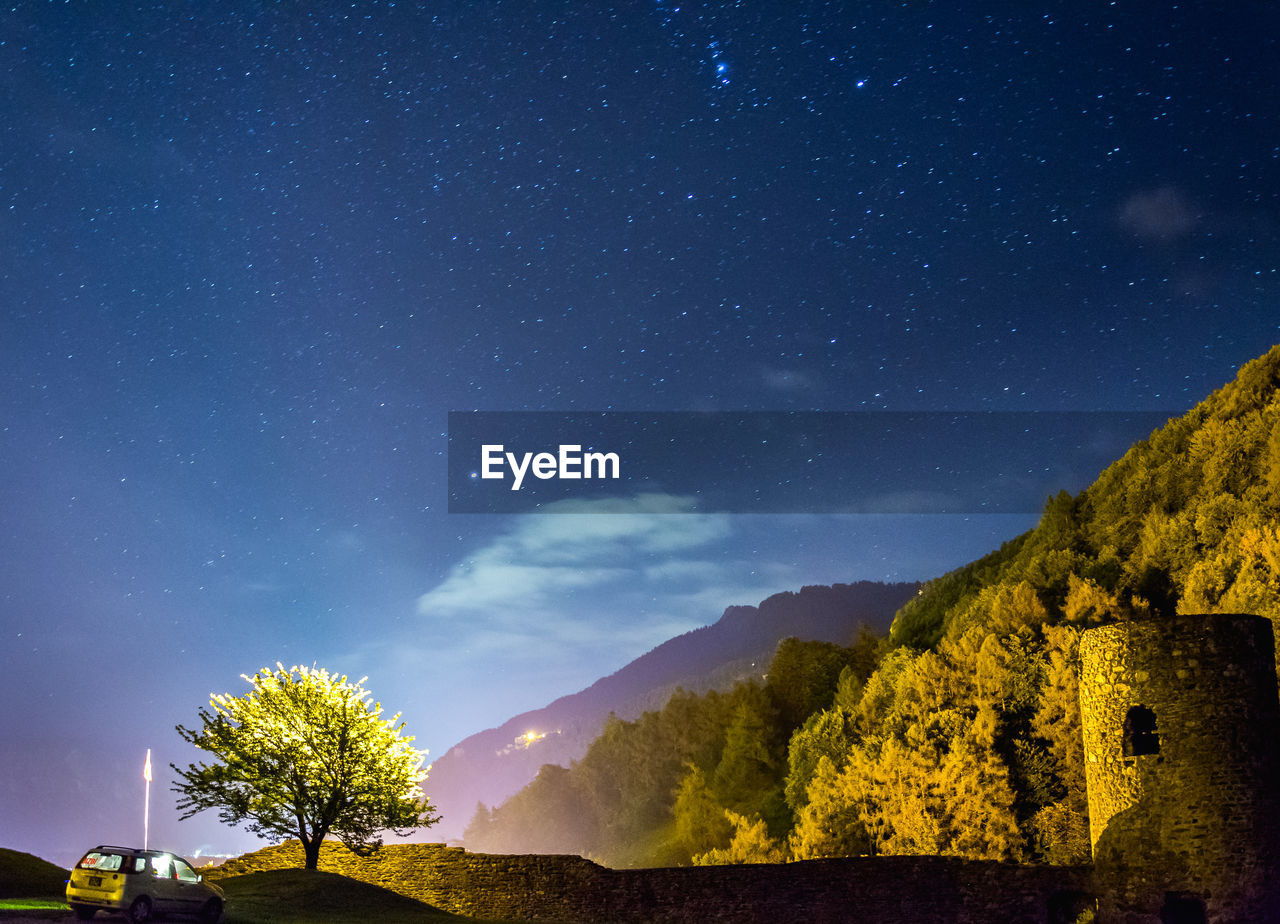 Low angle view of trees at night