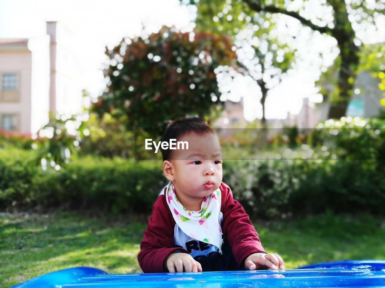 Cute boy playing in lawn